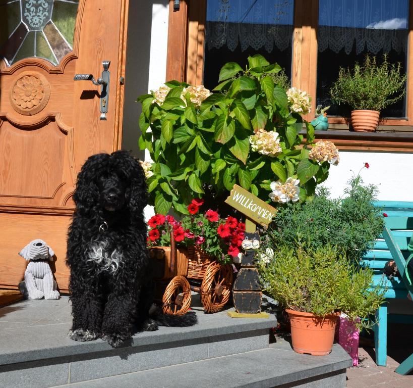 Haus Sonnleiten Gerlos Buitenkant foto